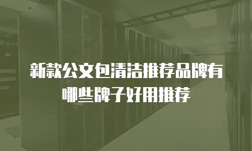 新款公文包清洁推荐品牌有哪些牌子好用推荐