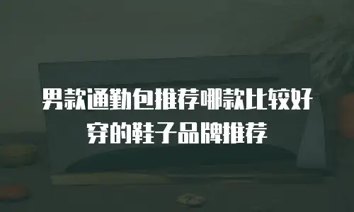 男款通勤包推荐哪款比较好穿的鞋子品牌推荐