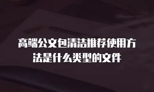 高端公文包清洁推荐使用方法是什么类型的文件