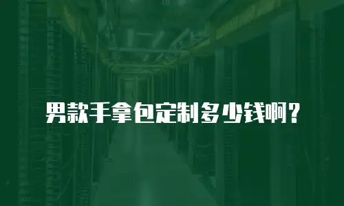 男款手拿包定制多少钱啊？
