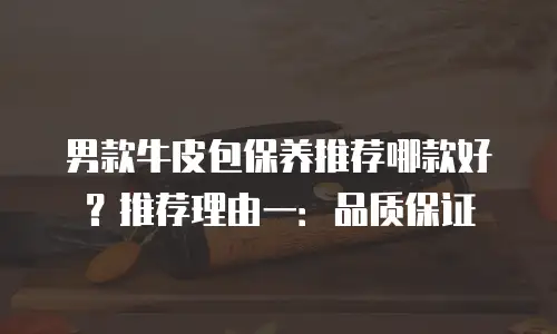 男款牛皮包保养推荐哪款好？推荐理由一：品质保证