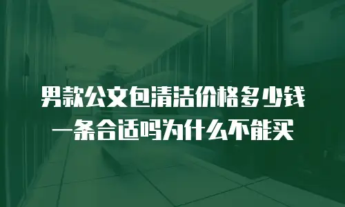 男款公文包清洁价格多少钱一条合适吗为什么不能买