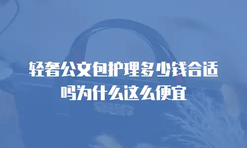 轻奢公文包护理多少钱合适吗为什么这么便宜