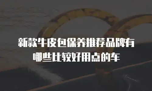 新款牛皮包保养推荐品牌有哪些比较好用点的车
