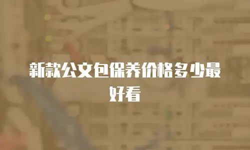 新款公文包保养价格多少最好看