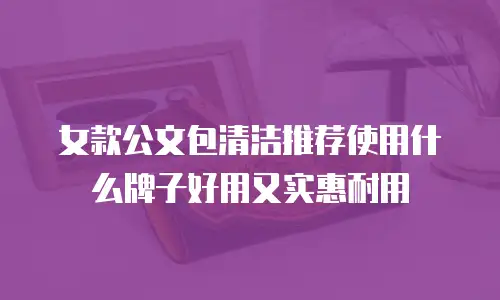 女款公文包清洁推荐使用什么牌子好用又实惠耐用