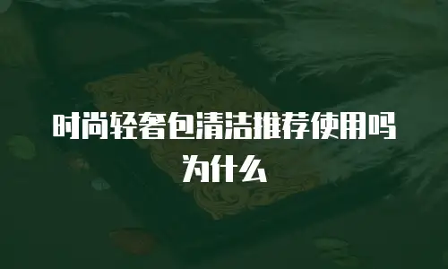时尚轻奢包清洁推荐使用吗为什么