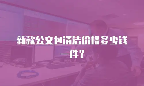 新款公文包清洁价格多少钱一件？
