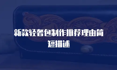 新款轻奢包制作推荐理由简短描述