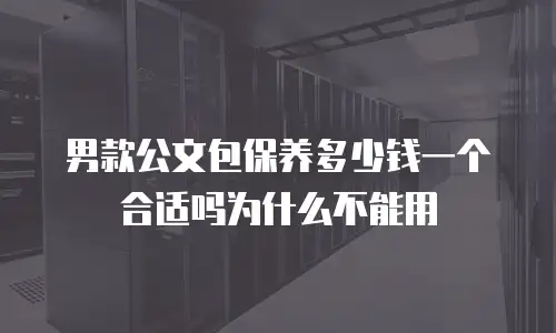 男款公文包保养多少钱一个合适吗为什么不能用