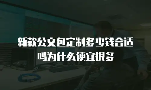 新款公文包定制多少钱合适吗为什么便宜很多