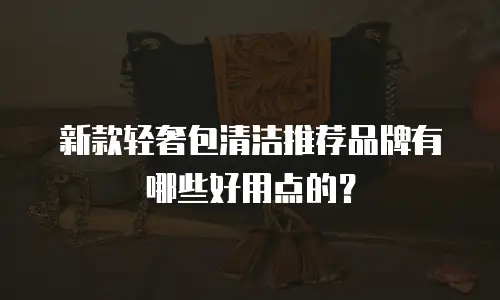 新款轻奢包清洁推荐品牌有哪些好用点的？