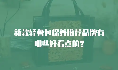 新款轻奢包保养推荐品牌有哪些好看点的？