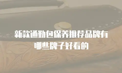 新款通勤包保养推荐品牌有哪些牌子好看的