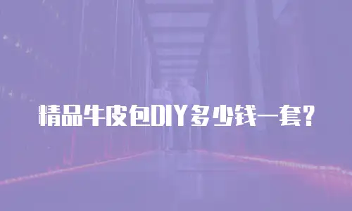 精品牛皮包DIY多少钱一套？