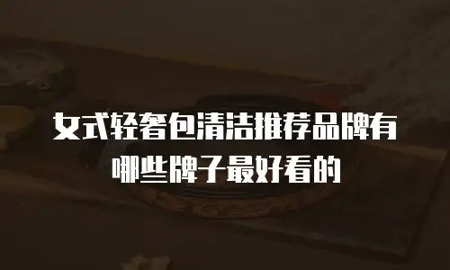 女式轻奢包清洁推荐品牌有哪些牌子最好看的