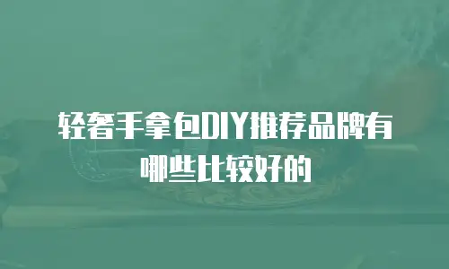 轻奢手拿包DIY推荐品牌有哪些比较好的