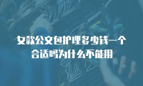 女款公文包护理多少钱一个合适吗为什么不能用