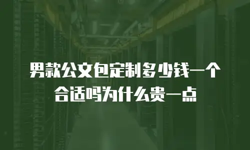 男款公文包定制多少钱一个合适吗为什么贵一点