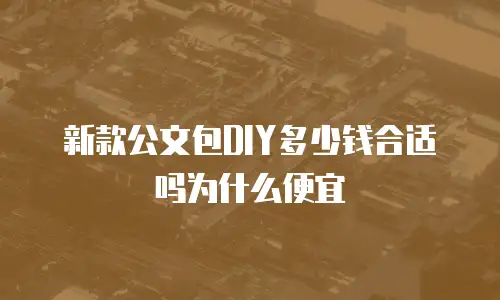 新款公文包DIY多少钱合适吗为什么便宜