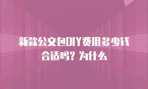 新款公文包DIY费用多少钱合适吗？为什么