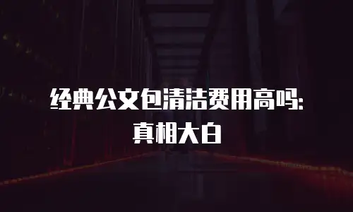 经典公文包清洁费用高吗：真相大白