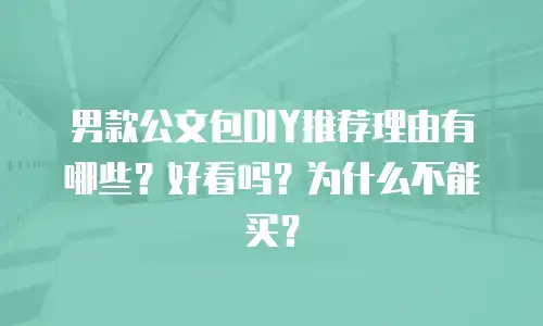 男款公文包DIY推荐理由有哪些？好看吗？为什么不能买？