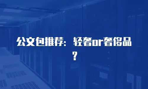公文包推荐：轻奢or奢侈品？