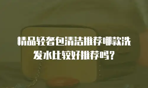 精品轻奢包清洁推荐哪款洗发水比较好推荐吗？