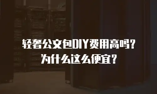 轻奢公文包DIY费用高吗？为什么这么便宜？