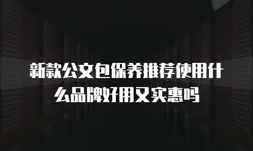 新款公文包保养推荐使用什么品牌好用又实惠吗