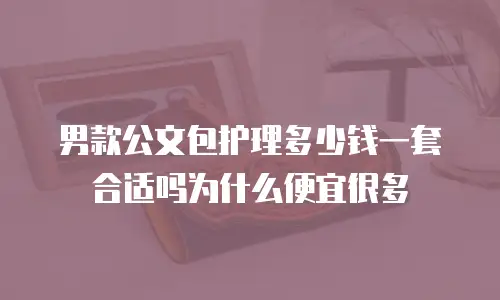 男款公文包护理多少钱一套合适吗为什么便宜很多