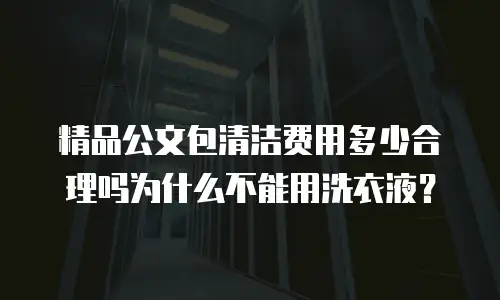 精品公文包清洁费用多少合理吗为什么不能用洗衣液？