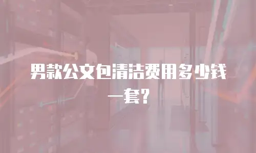 男款公文包清洁费用多少钱一套？