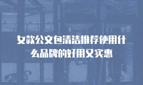 女款公文包清洁推荐使用什么品牌的好用又实惠