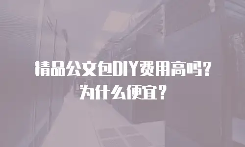 精品公文包DIY费用高吗？为什么便宜？
