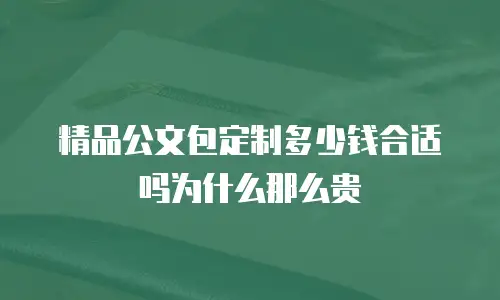 精品公文包定制多少钱合适吗为什么那么贵