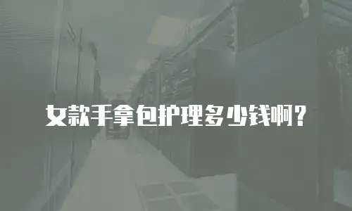 女款手拿包护理多少钱啊？