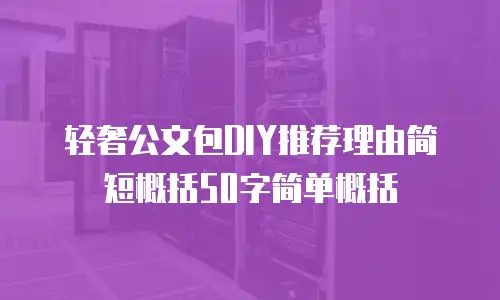 轻奢公文包DIY推荐理由简短概括50字简单概括