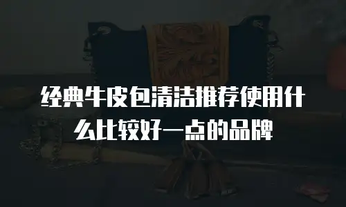 经典牛皮包清洁推荐使用什么比较好一点的品牌