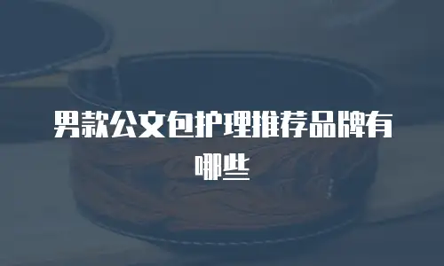 男款公文包护理推荐品牌有哪些