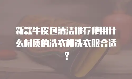 新款牛皮包清洁推荐使用什么材质的洗衣机洗衣服合适？