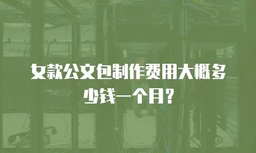 女款公文包制作费用大概多少钱一个月？