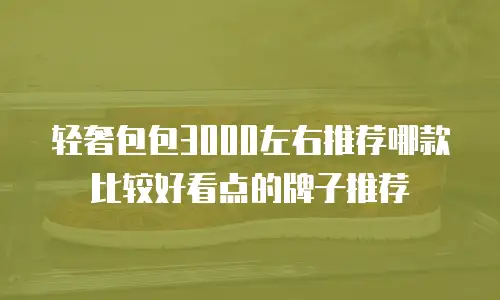 轻奢包包3000左右推荐哪款比较好看点的牌子推荐