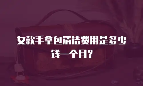 女款手拿包清洁费用是多少钱一个月？