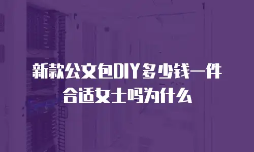 新款公文包DIY多少钱一件合适女士吗为什么