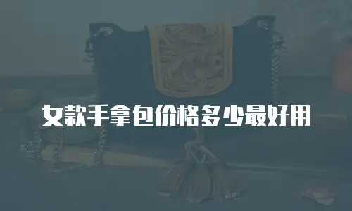 女款手拿包价格多少最好用
