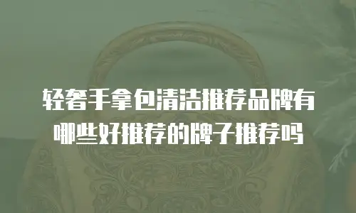 轻奢手拿包清洁推荐品牌有哪些好推荐的牌子推荐吗