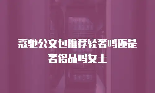 蔻驰公文包推荐轻奢吗还是奢侈品吗女士