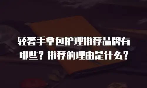 轻奢手拿包护理推荐品牌有哪些？推荐的理由是什么？